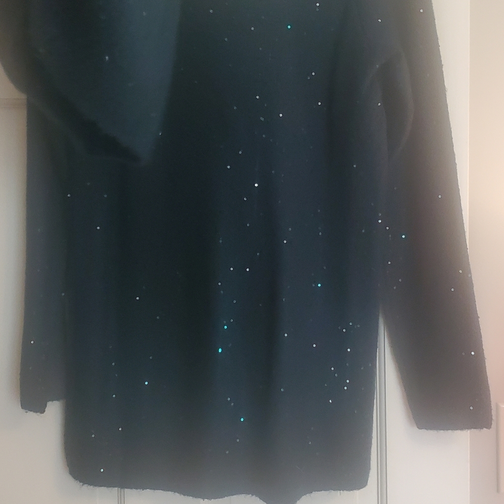 Apt 9 Forest Green Sequin Tunic Sweater with Detachable Cown Neck (NWT)